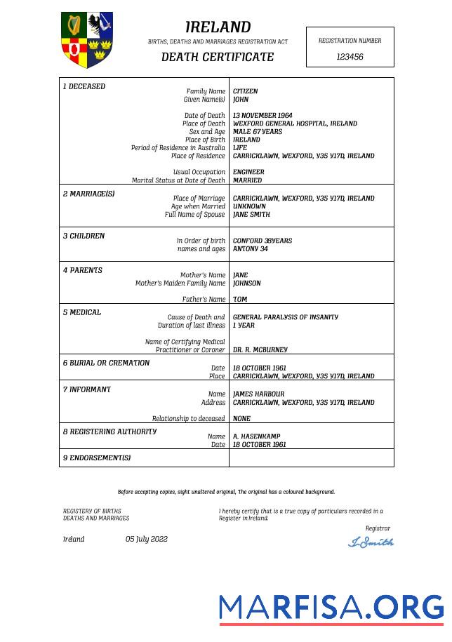 Downloadable Ireland vital record death certificate Word and PDF template